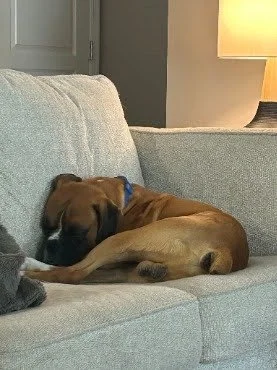 Rocky, Age 1.5