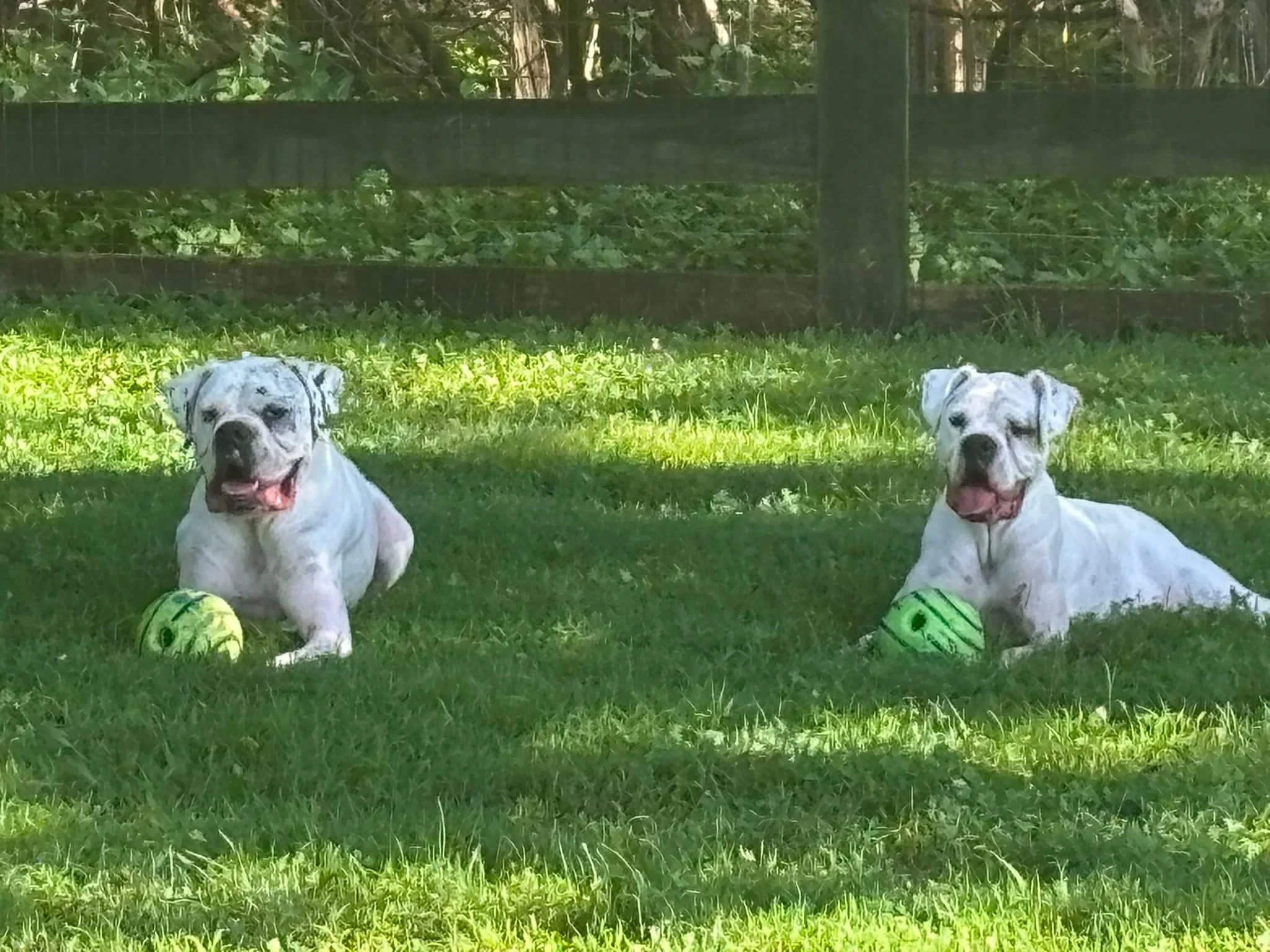 Jaxson and Millee, Age 5