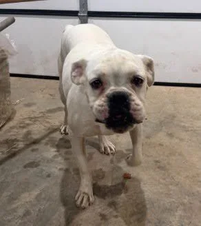 Lola, Age 5