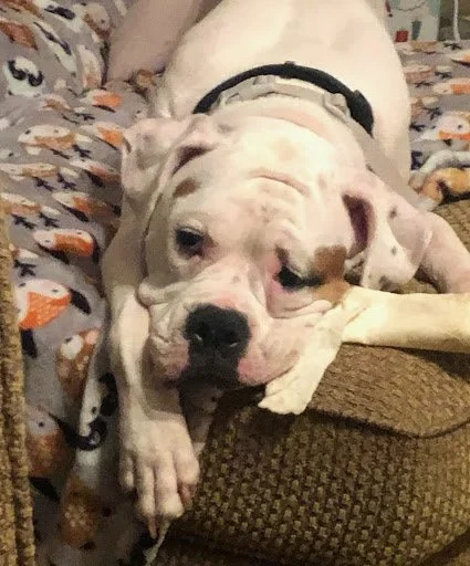 Jaxson and Millee, Age 5