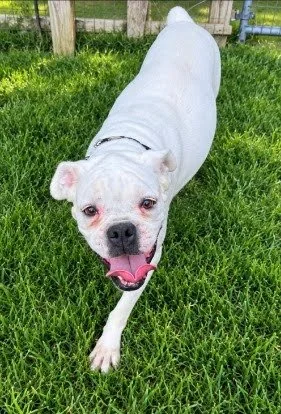 Lola, Age 5