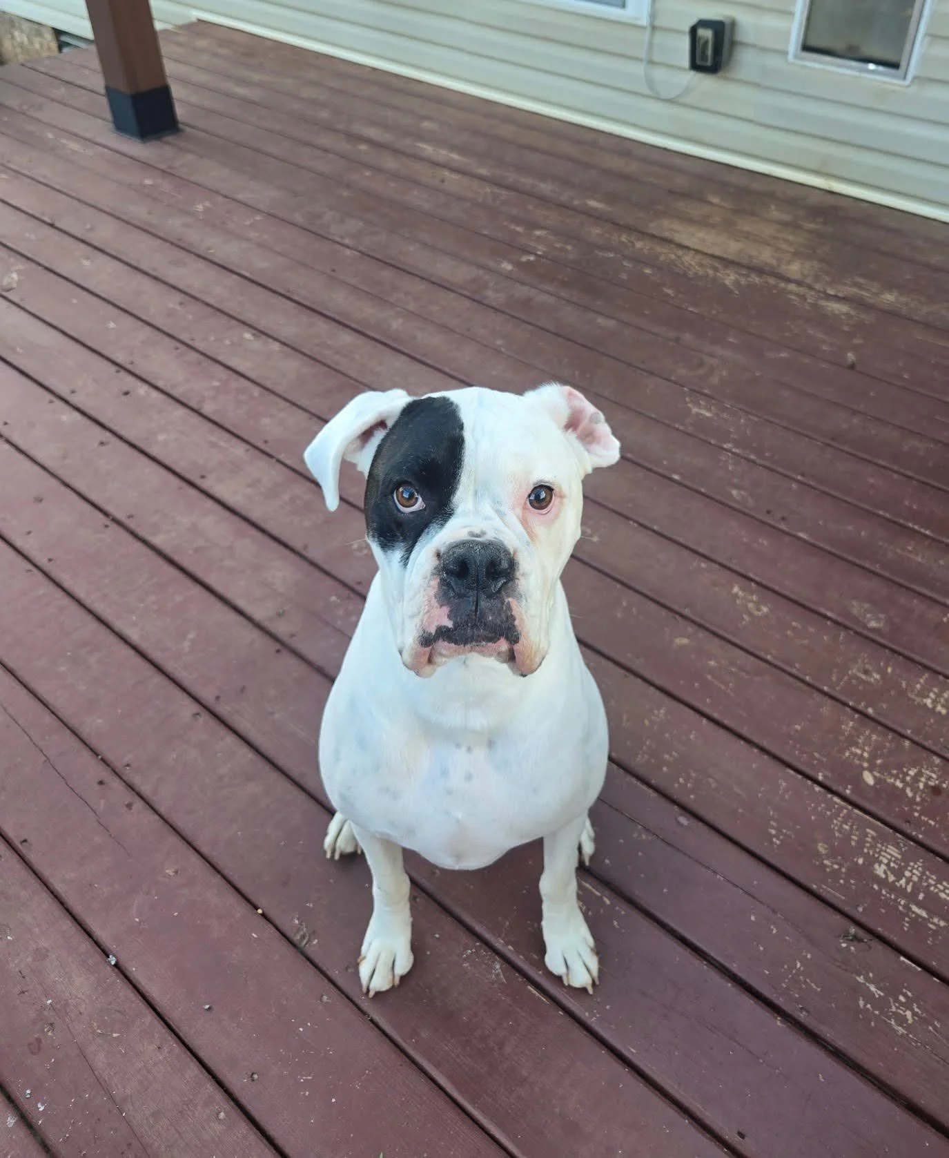 Charlie, Age 4