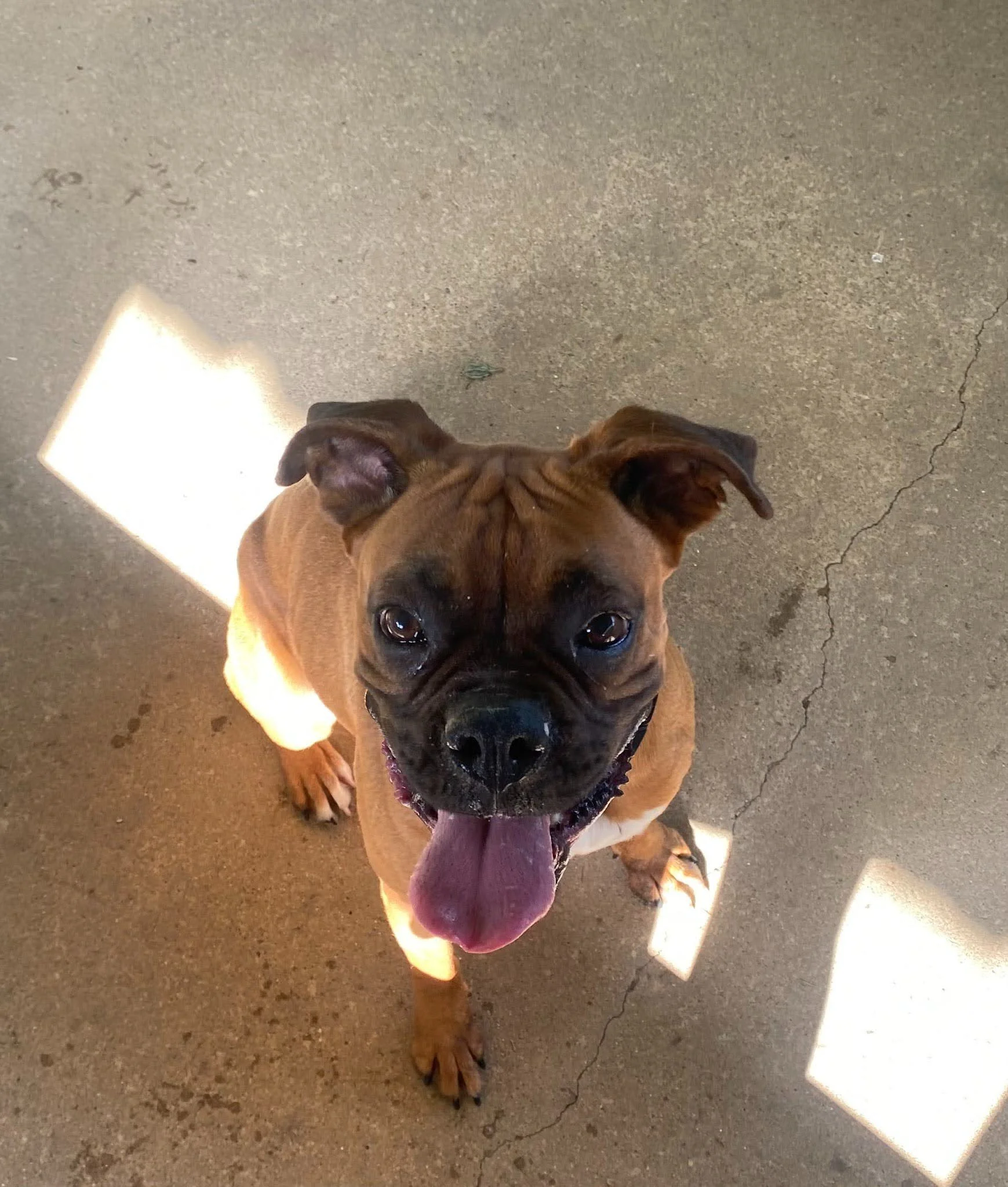 Lucy, Age 2
