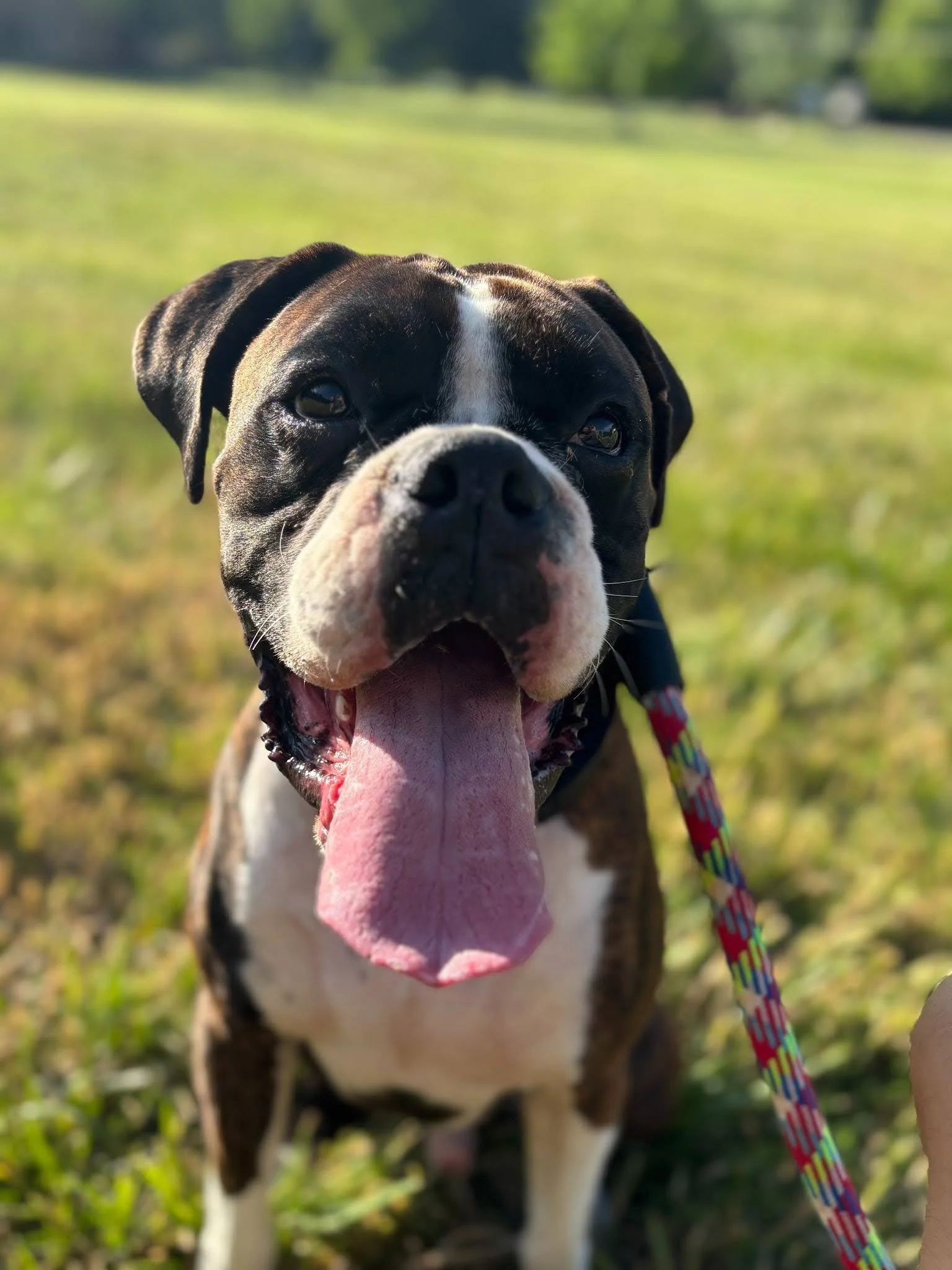 Major, Age 2