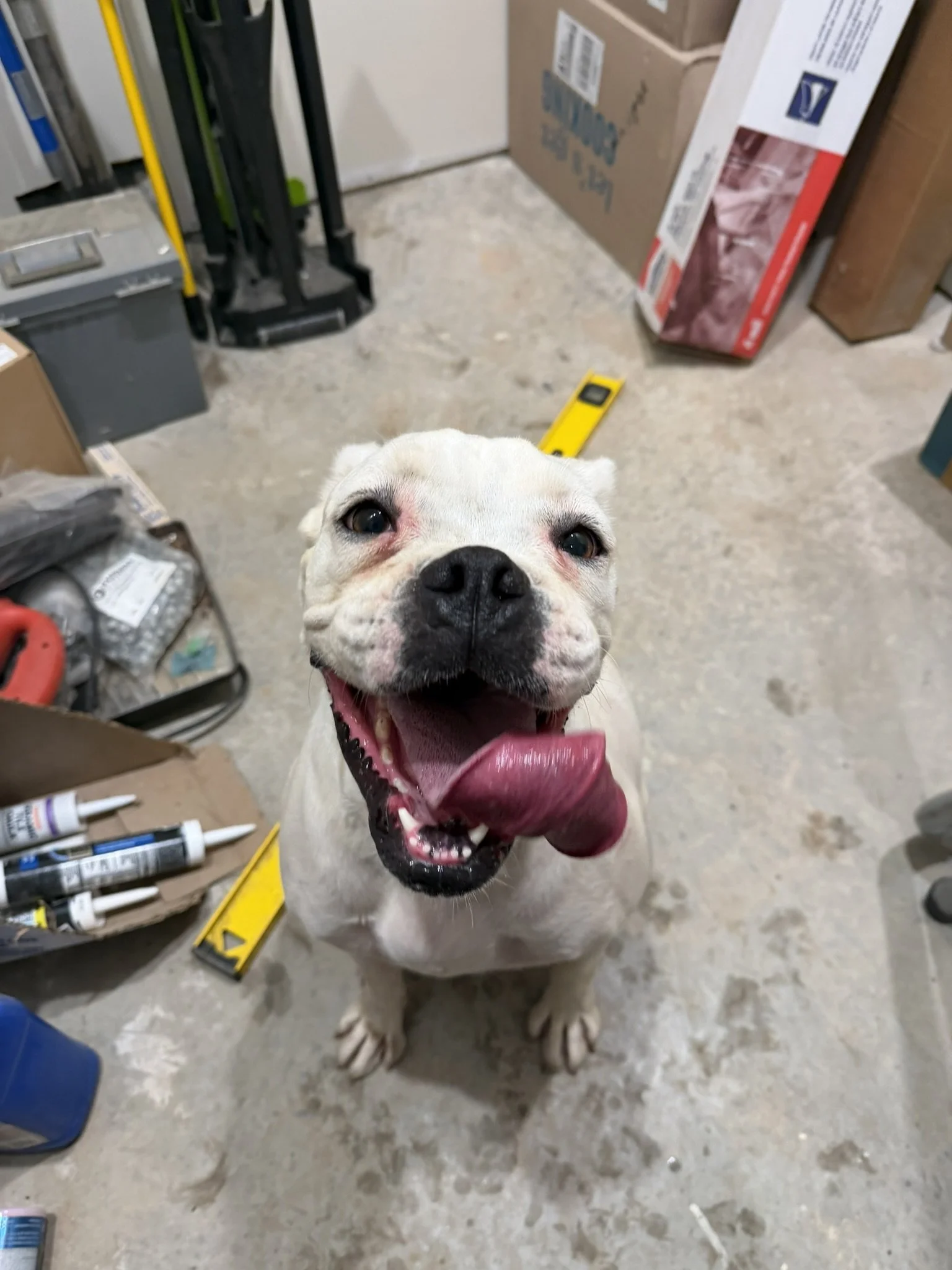 Lola, Age 5