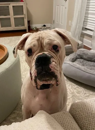 Rosie, Age 2
