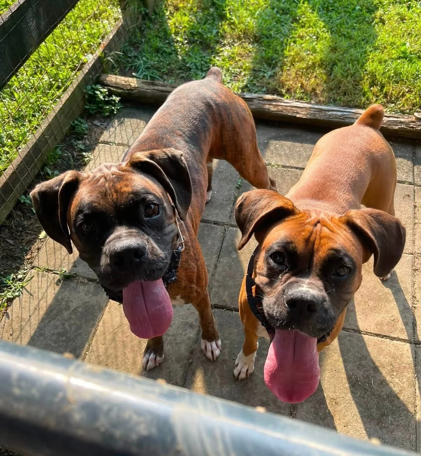 Holly and Burt