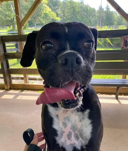 Tuck, Age 5