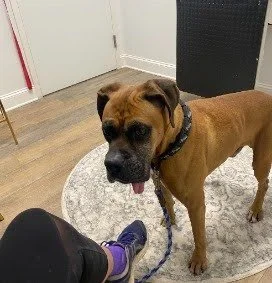Diesel, Age 7