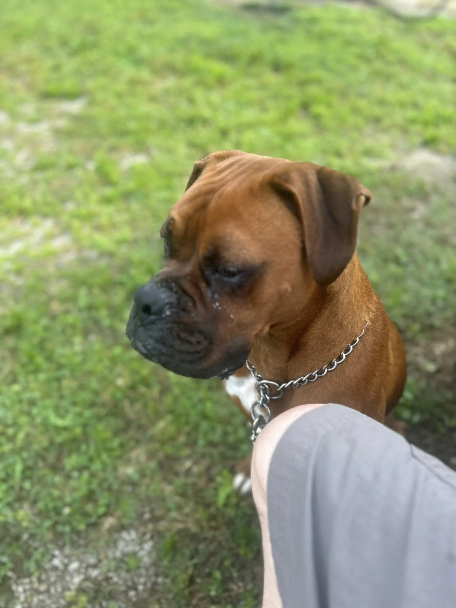 Cooper, Age 1.5