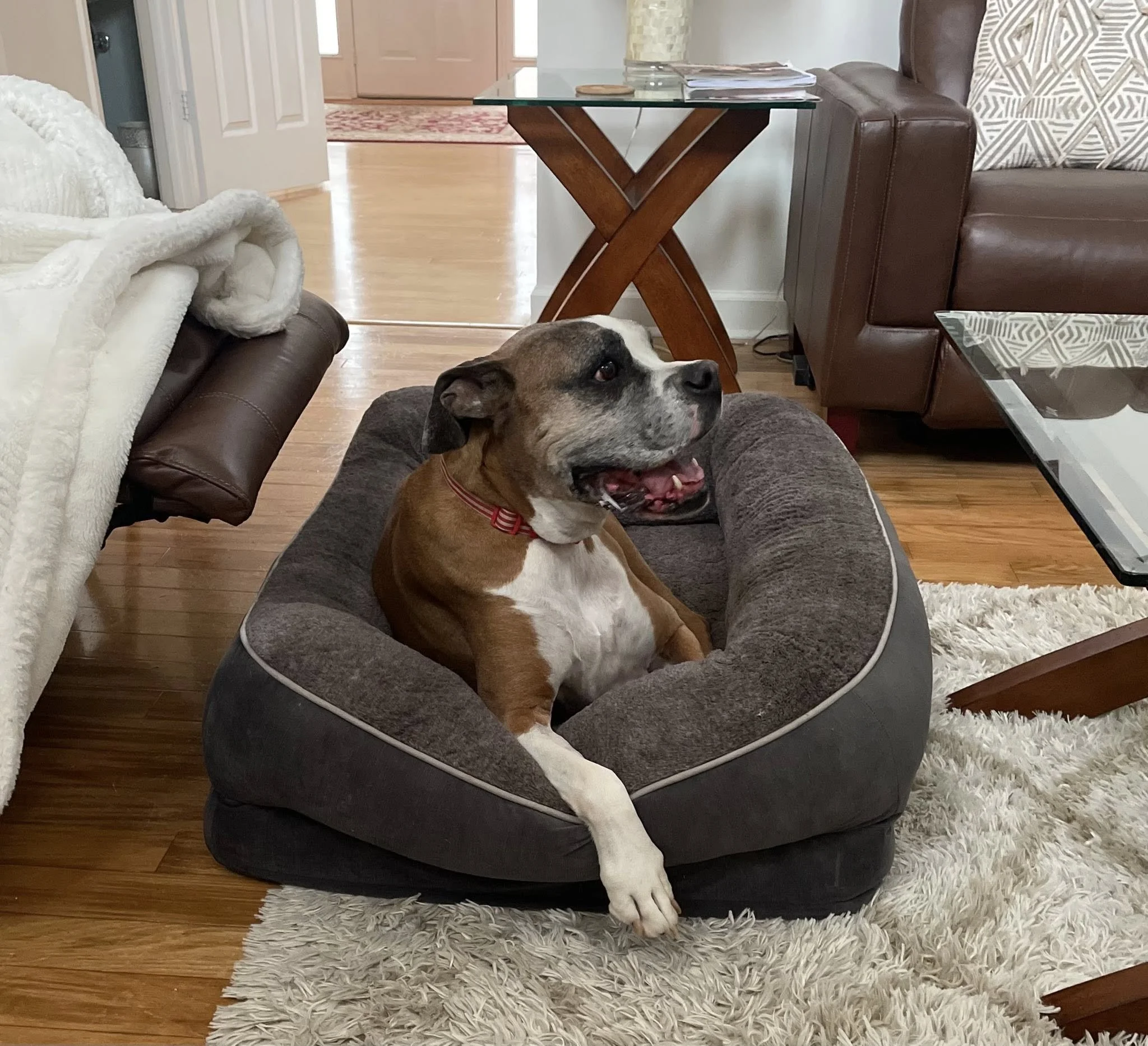 Ridley, Age 9.5 Years