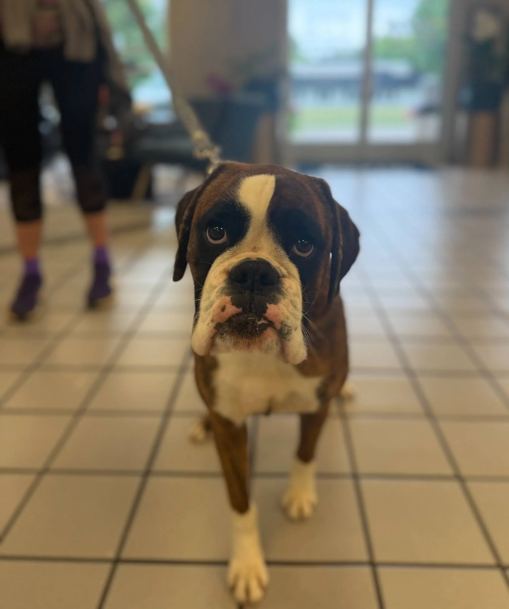 Sugar, Age 3