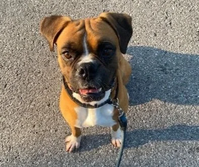 Rocky, Age