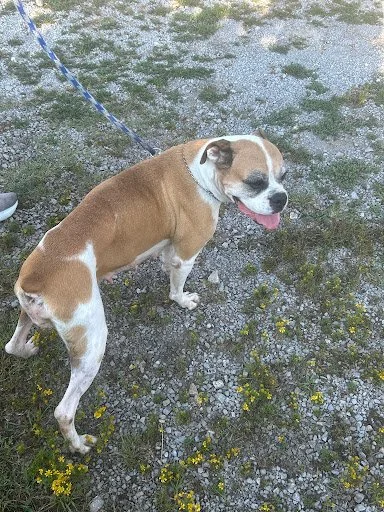 Sasha, Age