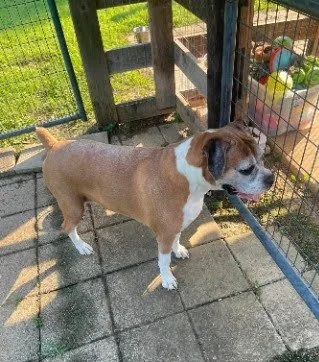Stella, Age 9