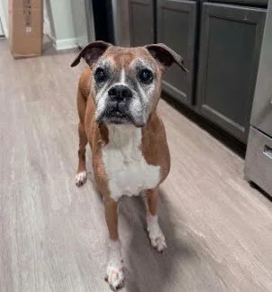 Sadie Mae, Age 12