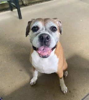 Stella, Age 9