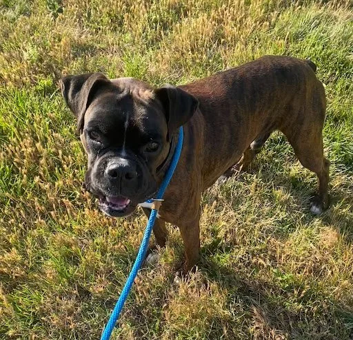 Titan, Age 4