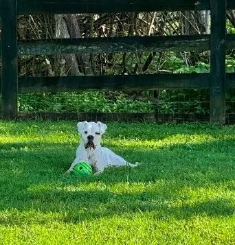 Jaxson, Age 5