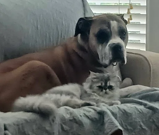 Ridley, Age 9.5 Years