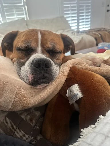 Ozzy, Age 7