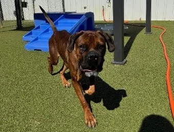 Fiona, Age 2