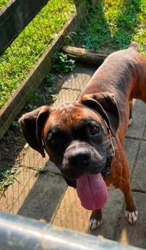 Burt, Age 3