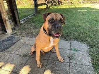 Harvey, Age