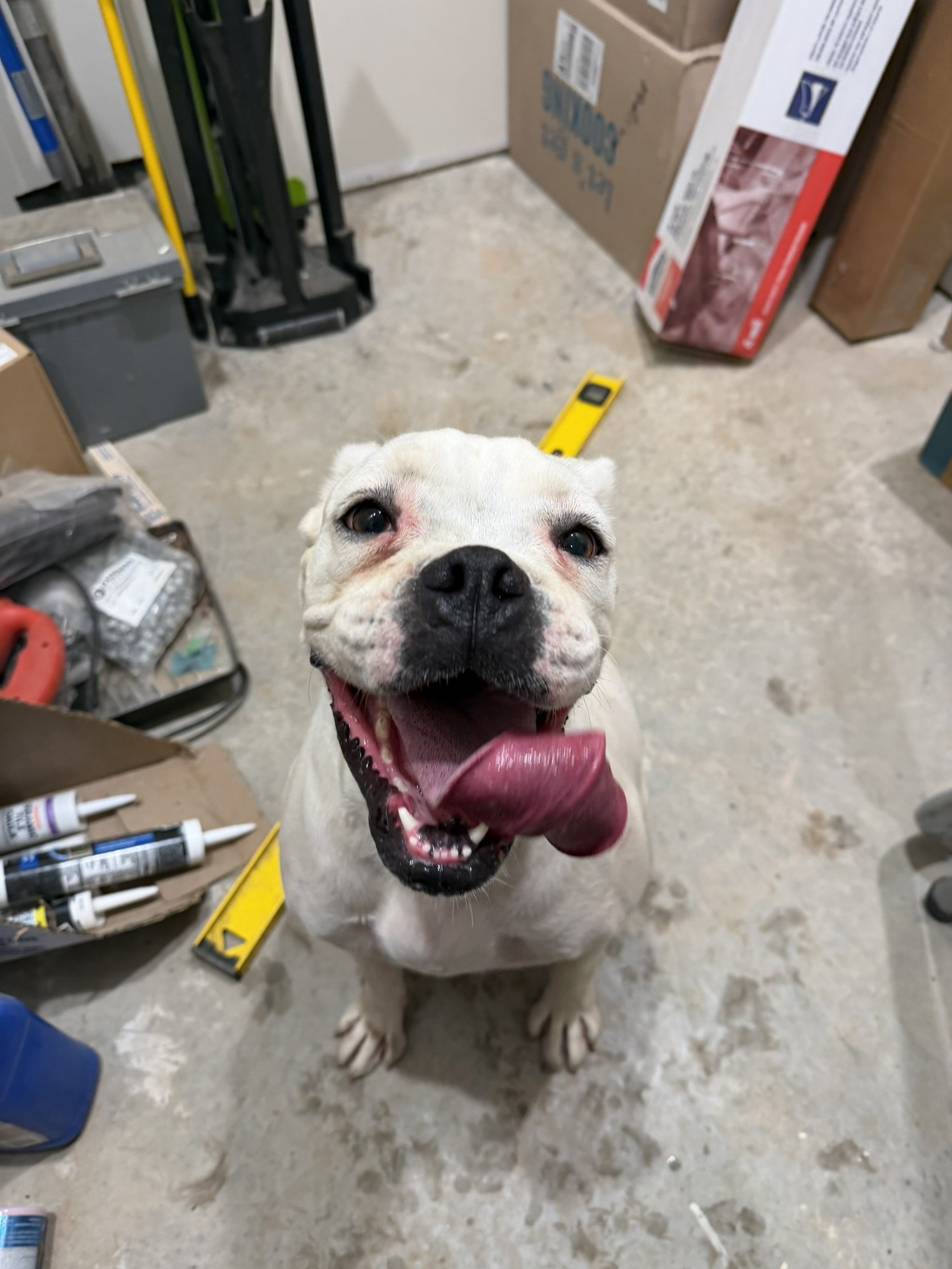 Lola, Age 5
