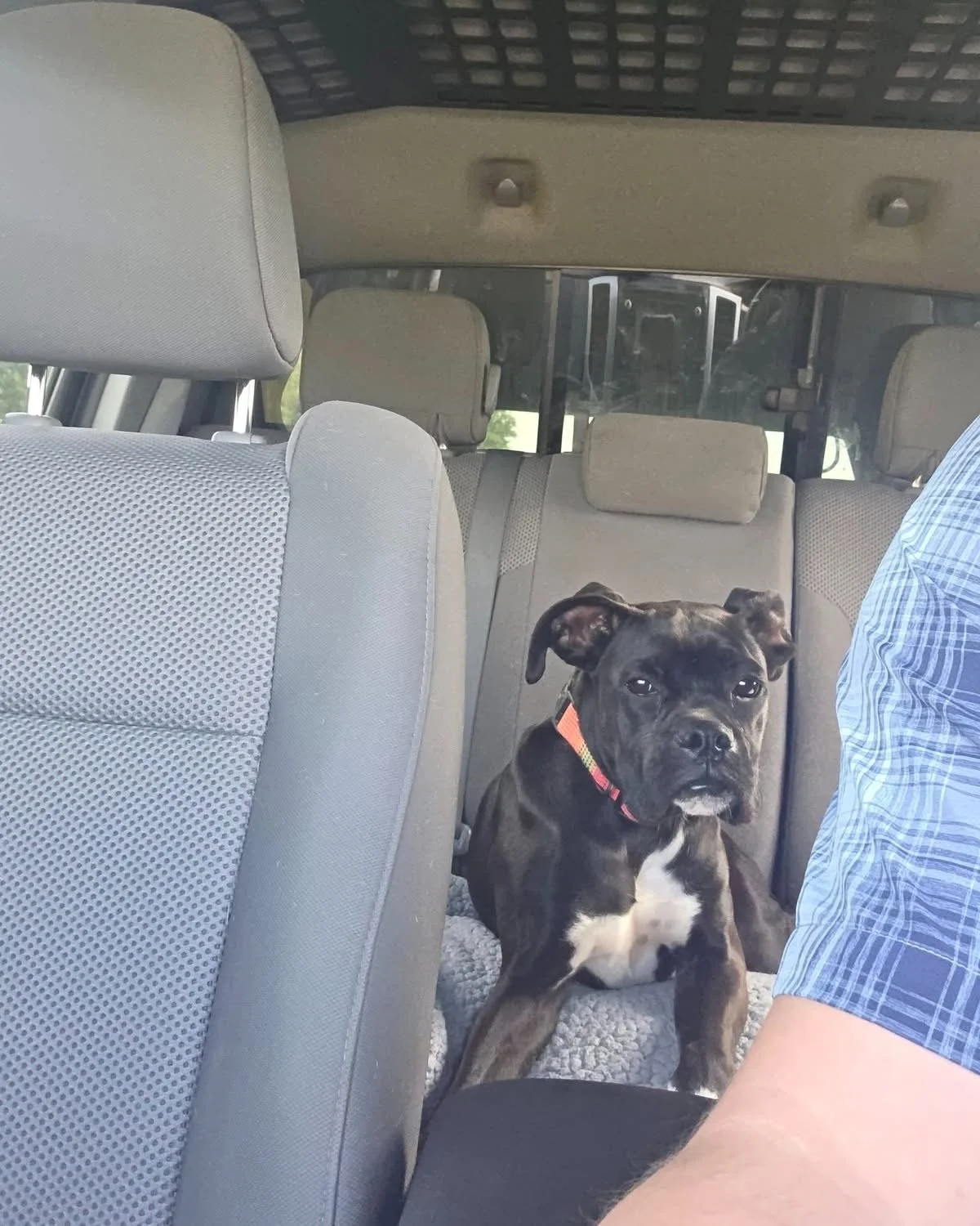 Pepper, Age 6 Months