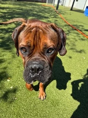 Fiona, Age 2