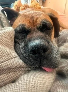 Diesel, Age 7