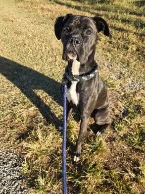 Oswald, Age 1