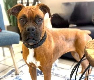 Lucy, Age 2