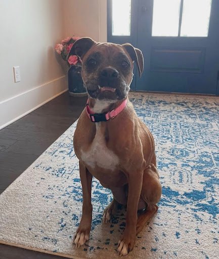 Shirley, Age 6