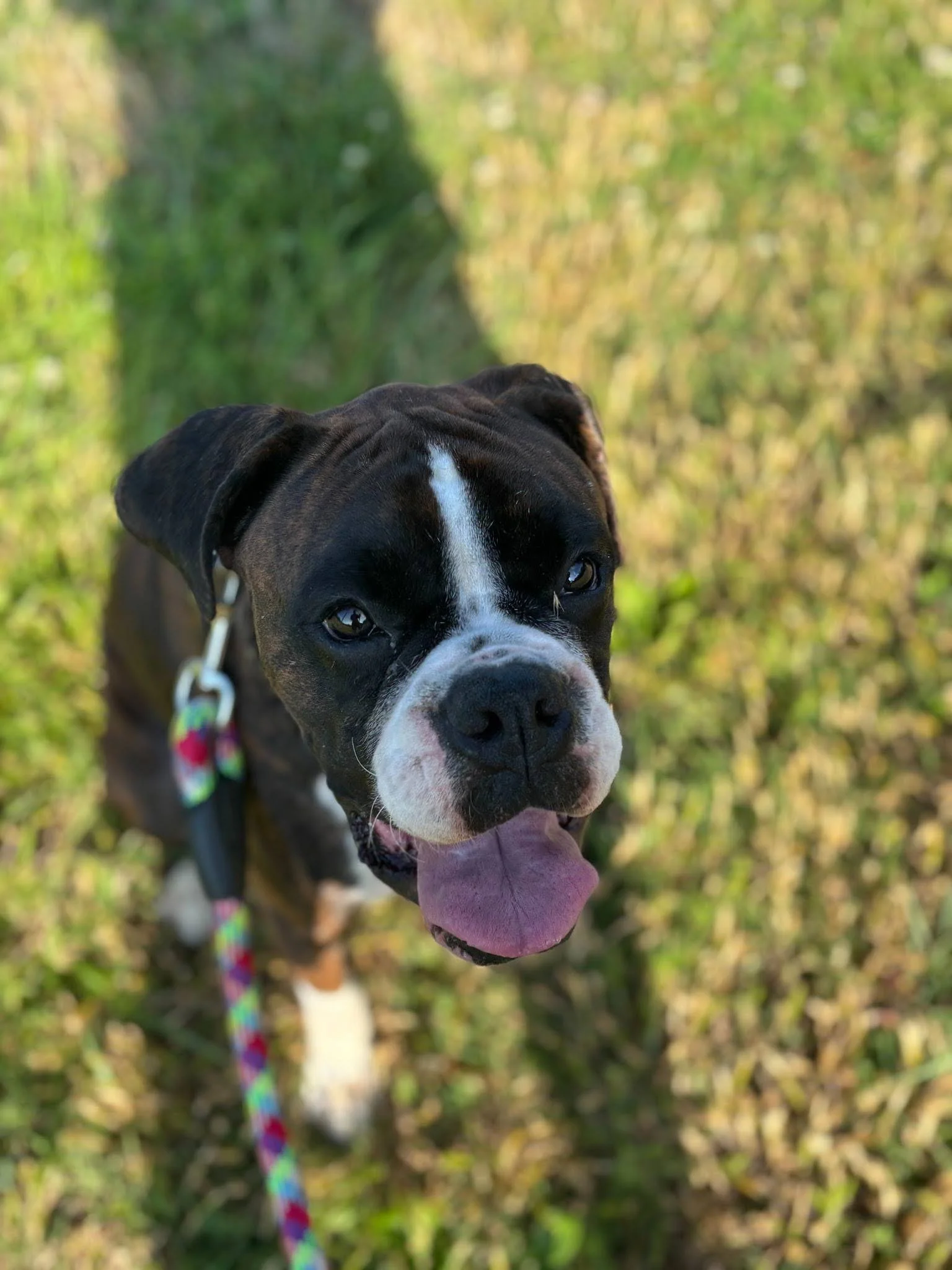 Major, Age 2