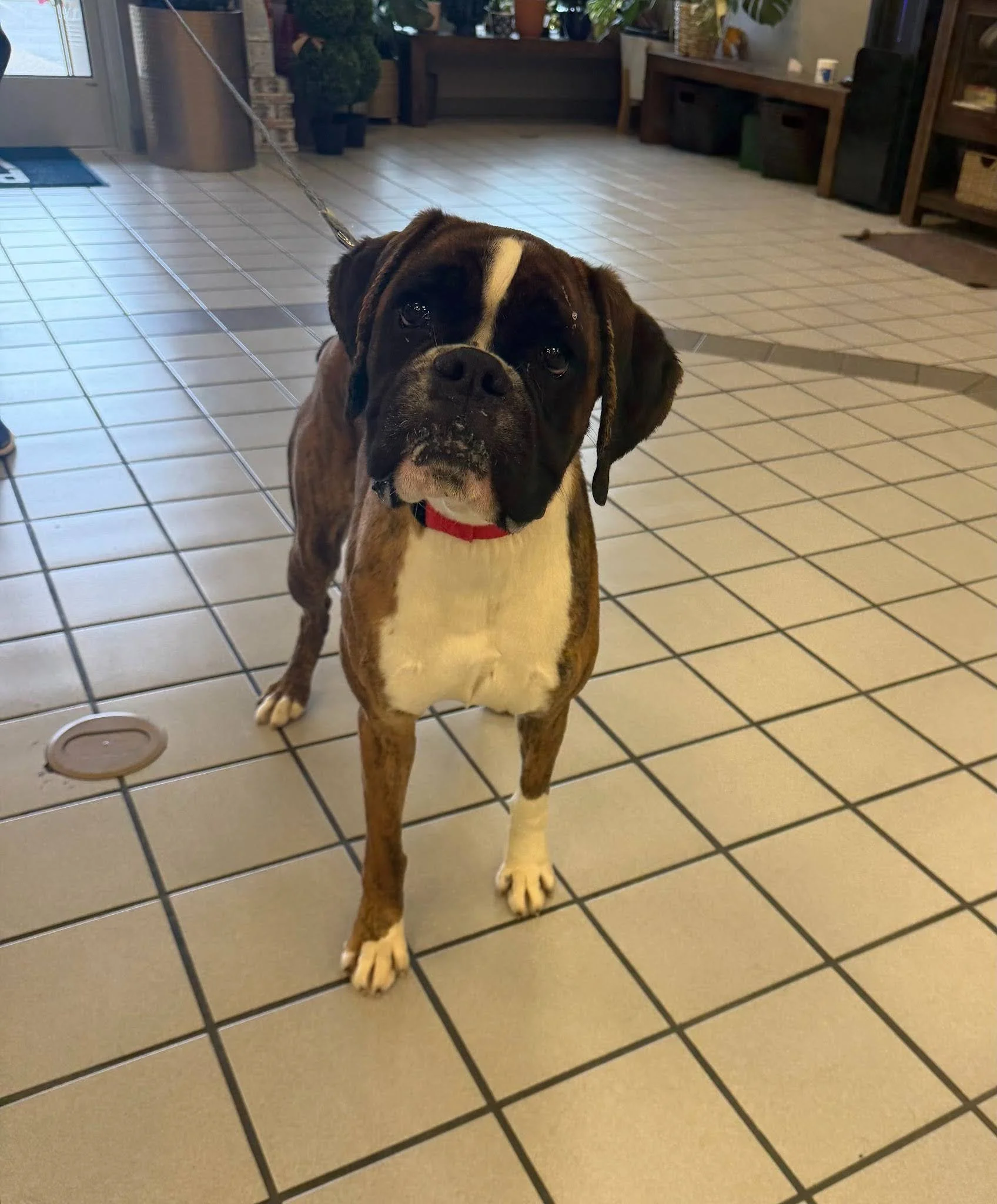 Bella, Age 3