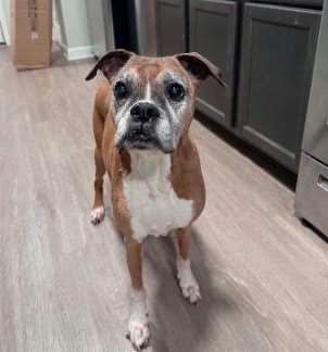 Sadie Mae, Age 12