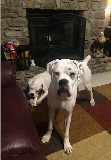 Jaxson and Millee, Age 5