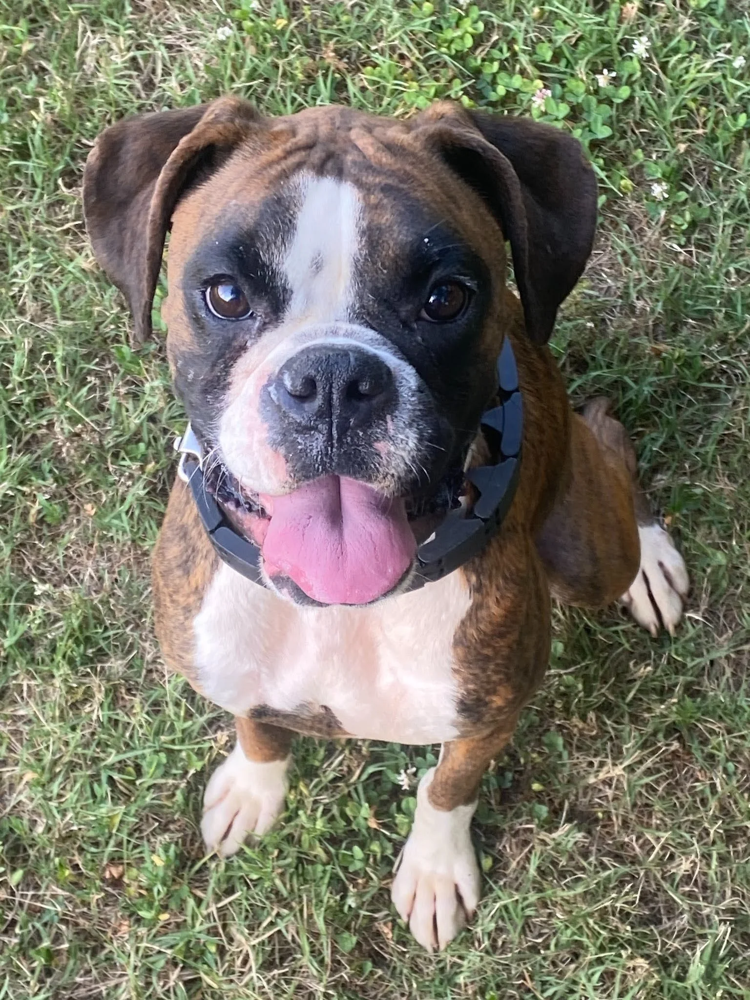 Molly, age 2