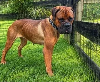 Fiona, Age 2