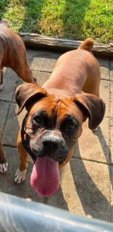 Holly, Age 3