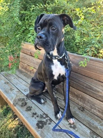 Oswald, Age 1