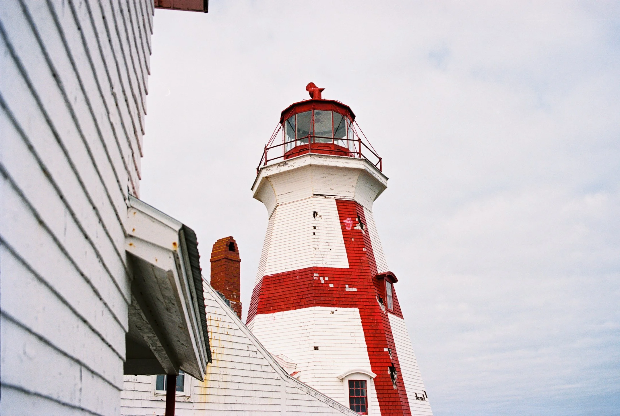 Standard - Cropped