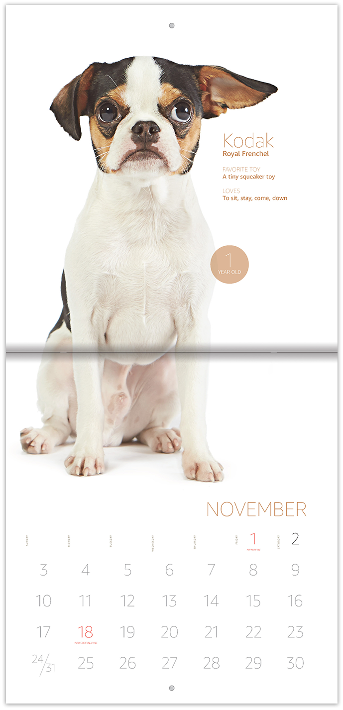 5ec1c0d98359728bf7d31a9e_Calendar-3.png