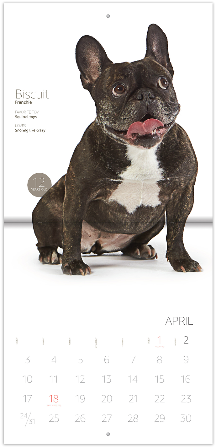 5eb326c6b5be346345b7d97f_Calendar 2.png