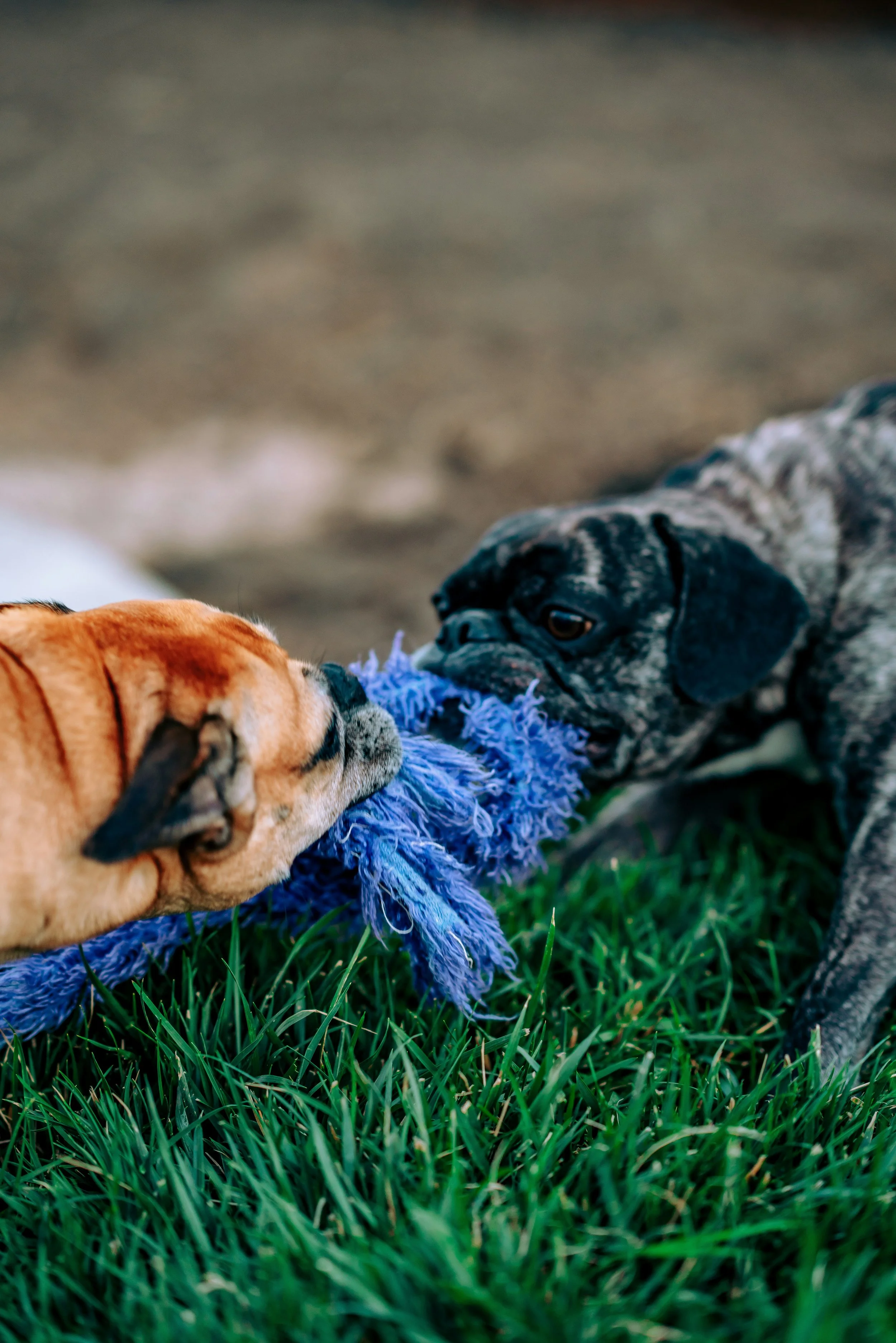 Benefits vs. Raise: Why Perks Beat Paychecks for Your Bottom Line