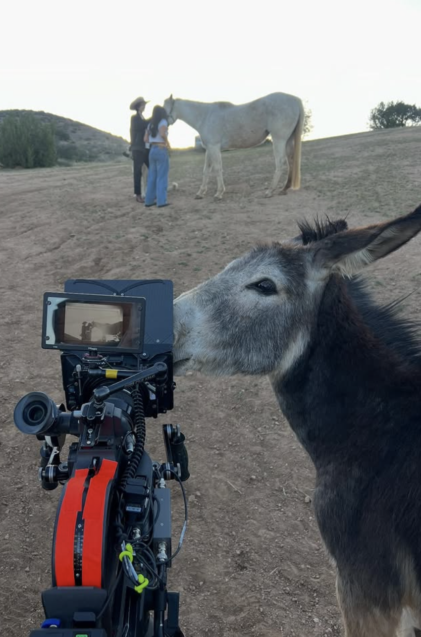 Screenshot 2025-12-06 at 1.51.35 PM.png