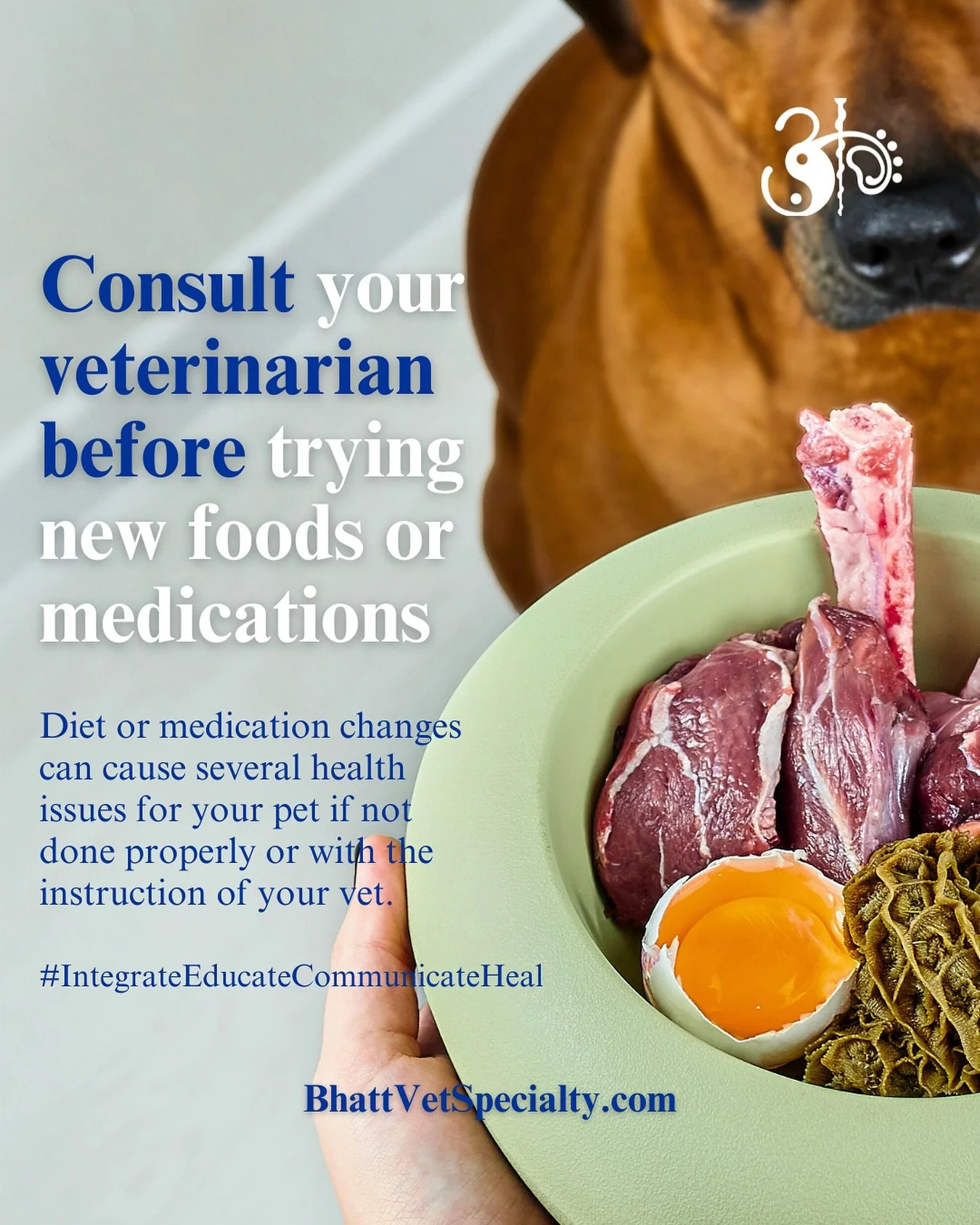 Before making any changes to your pet&rsquo;s food or medications, always check with your veterinarian. Even small shifts in diet or supplements can cause digestive upset, inflammation, or unwanted side effects, especially in pets with chronic condit