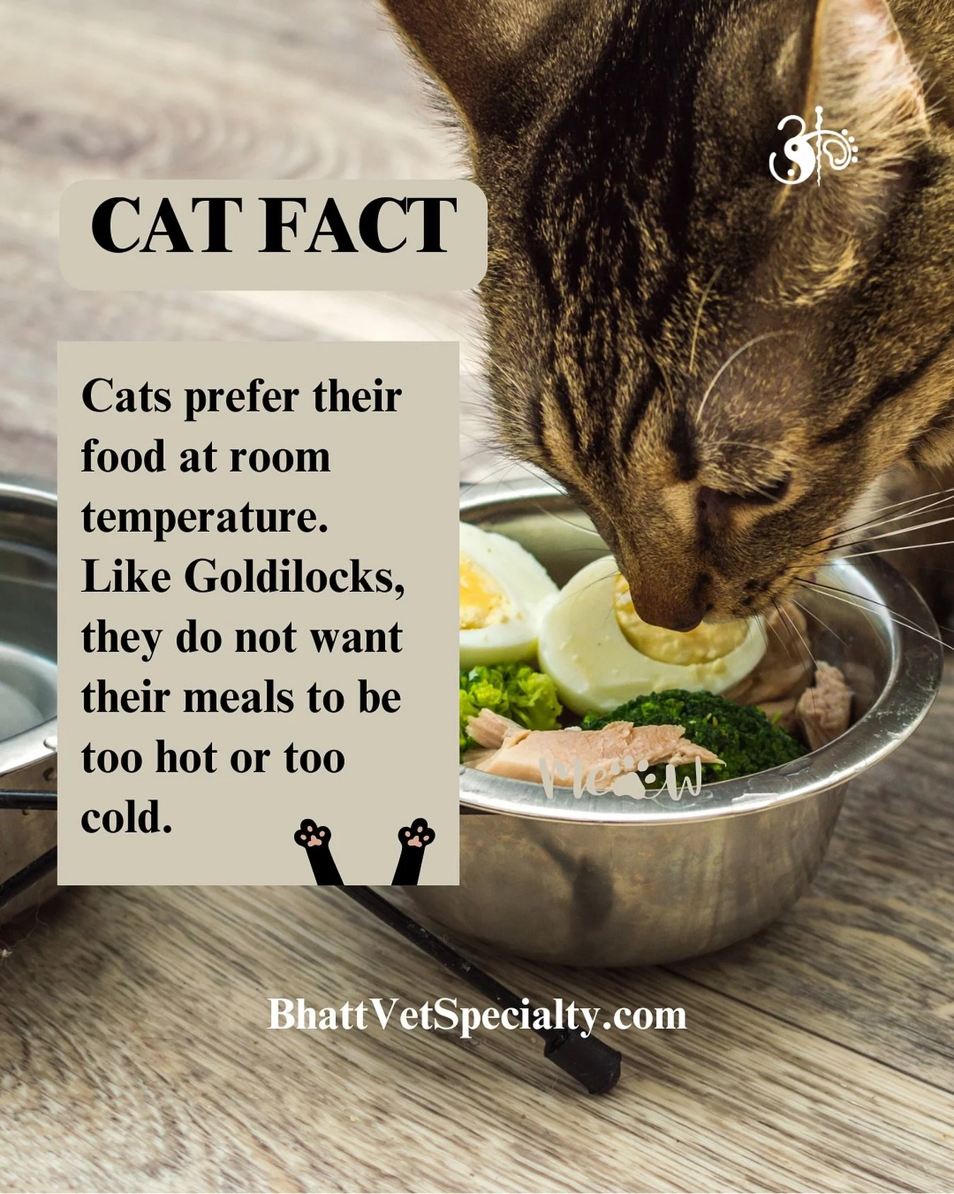 🐱 Did you know cats are just as picky about food temperature as they are about everything else?
Like Goldilocks, they want their meals just right &mdash; not too hot, not too cold.

Feeding your cat at room temperature makes food smell and taste bet